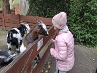 Wycieczka do Ogrodu Zoobotanicznego