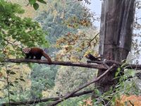 Wycieczka do Ogrodu Zoobotanicznego