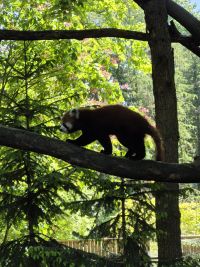 wycieczka po Toruniu
