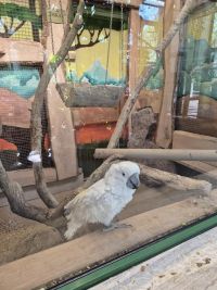 wycieczka po Toruniu