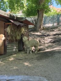 wycieczka po Toruniu