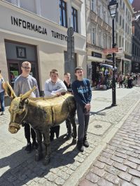 wycieczka po Toruniu