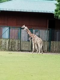 uczniowie podczas wycieczki po ZOO oraz rejs statkiem