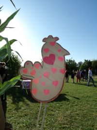 przygotowania do pikniku ekologicznego