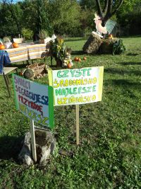 przygotowania do pikniku ekologicznego