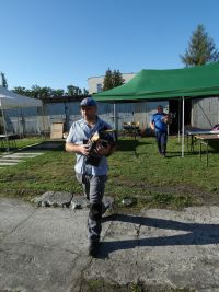 przygotowania do pikniku ekologicznego