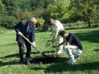 piknik ekologiczny, gry i zabawy na świezym powietrzu
