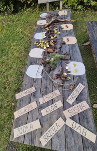 Piesza wycieczka do leśniczówki we Wroniu