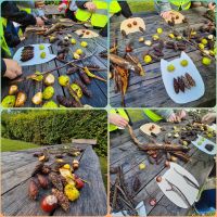 Piesza wycieczka do leśniczówki we Wroniu