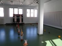 Jesienna Olimpiada Sportowa