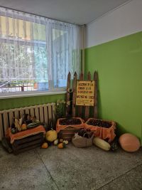 Zbiórka żołędzi i kasztanów