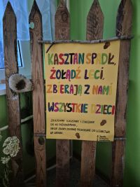 Zbiórka żołędzi i kasztanów