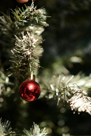 W naszej szkole oficjalnie zagościła już magia świąt!