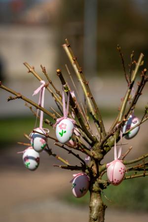 Lekcja otwarta pt.: "Palma wielkanocna"