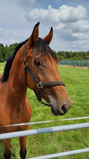 Wycieczka do Osady Karbówko