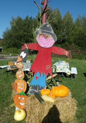 Piknik ekologiczny w naszym Ośrodku